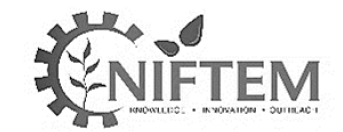 niftem logo copy